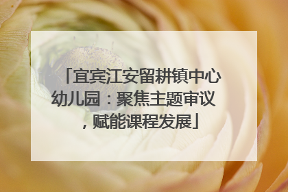 宜宾江安留耕镇中心幼儿园：聚焦主题审议，赋能课程发展