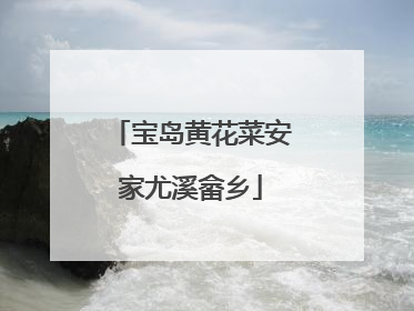 宝岛黄花菜安家尤溪畲乡