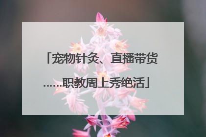 宠物针灸、直播带货……职教周上秀绝活