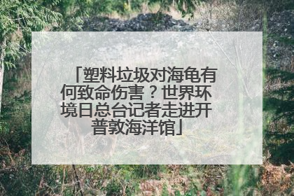 塑料垃圾对海龟有何致命伤害？世界环境日总台记者走进开普敦海洋馆