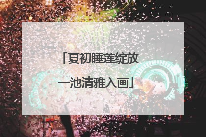 夏初睡莲绽放 一池清雅入画