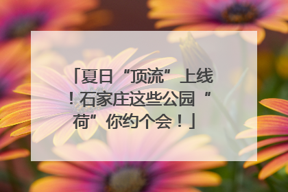 夏日“顶流”上线！石家庄这些公园“荷”你约个会！