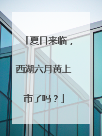 夏日来临，西湖六月黄上市了吗？