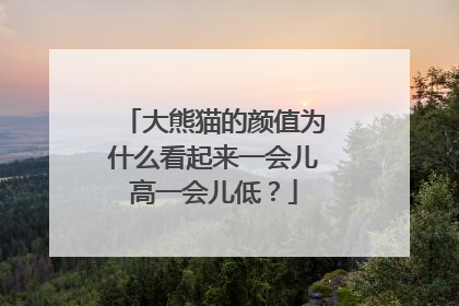 大熊猫的颜值为什么看起来一会儿高一会儿低？
