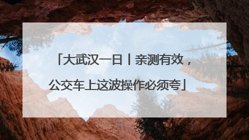 大武汉一日丨亲测有效，公交车上这波操作必须夸