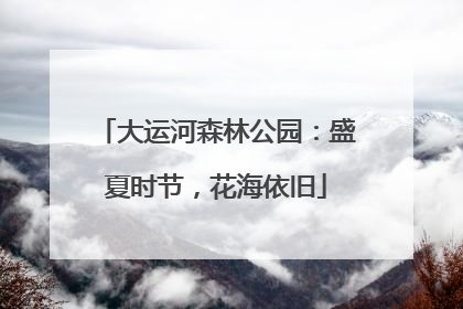 大运河森林公园：盛夏时节，花海依旧