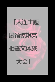 大连主题展馆惊艳亮相省文体旅大会
