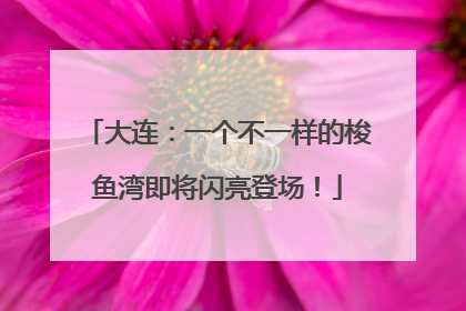 大连：一个不一样的梭鱼湾即将闪亮登场！
