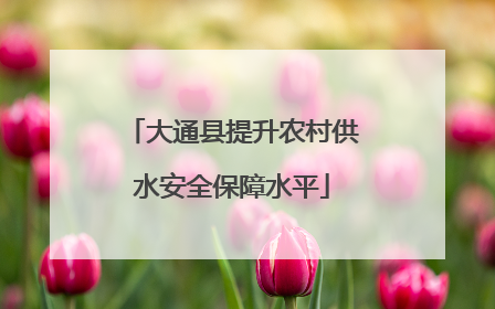 大通县提升农村供水安全保障水平