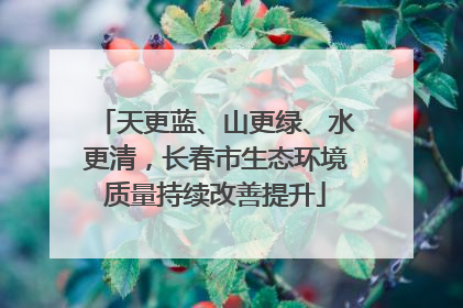 天更蓝、山更绿、水更清，长春市生态环境质量持续改善提升