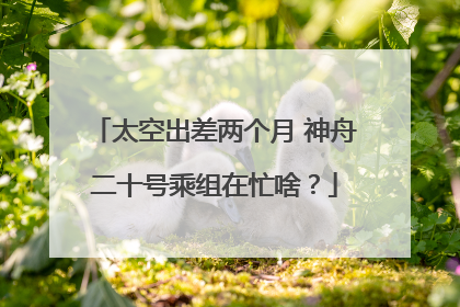 太空出差两个月 神舟二十号乘组在忙啥？
