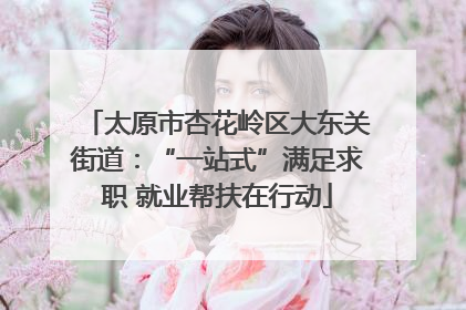 太原市杏花岭区大东关街道：“一站式”满足求职 就业帮扶在行动