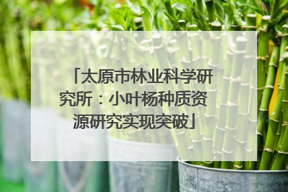 太原市林业科学研究所：小叶杨种质资源研究实现突破