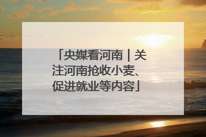 央媒看河南｜关注河南抢收小麦、促进就业等内容