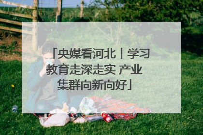 央媒看河北丨学习教育走深走实 产业集群向新向好