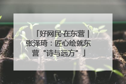 好网民·在东营｜张泽琦：匠心绘就东营“诗与远方”