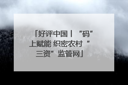 好评中国丨“码”上赋能 织密农村“三资”监管网