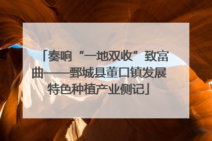 奏响“一地双收”致富曲——鄄城县董口镇发展特色种植产业侧记