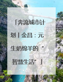 奔流城市计划丨金昌：元生奶绵羊的“智慧生活”