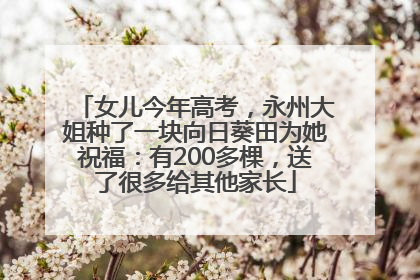 女儿今年高考，永州大姐种了一块向日葵田为她祝福：有200多棵，送了很多给其他家长