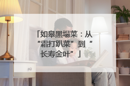 如皋黑塌菜：从“霜打趴菜”到“长寿金叶”
