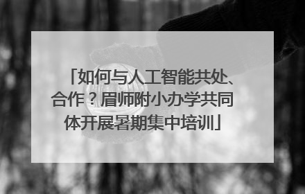 如何与人工智能共处、合作？眉师附小办学共同体开展暑期集中培训