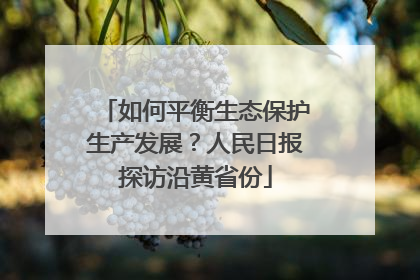 如何平衡生态保护生产发展？人民日报探访沿黄省份