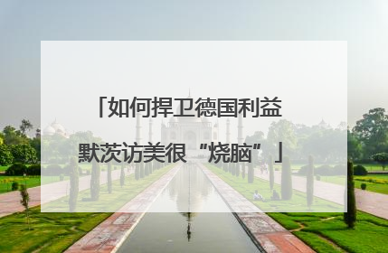 如何捍卫德国利益 默茨访美很“烧脑”