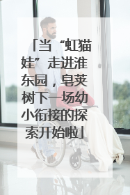 当“虹猫娃”走进淮东园，皂荚树下一场幼小衔接的探索开始啦