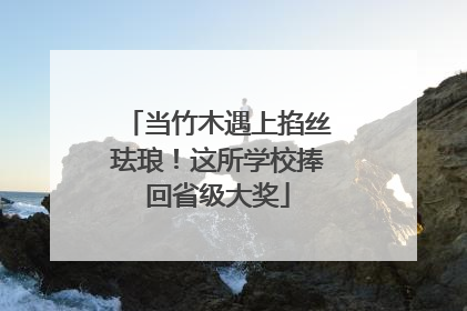 当竹木遇上掐丝珐琅！这所学校捧回省级大奖