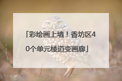 彩绘画上墙！香坊区40个单元楼道变画廊