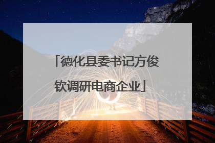 德化县委书记方俊钦调研电商企业