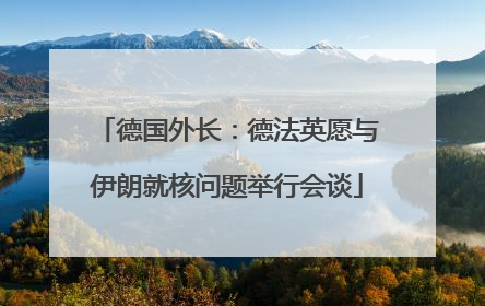 德国外长：德法英愿与伊朗就核问题举行会谈