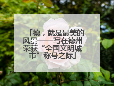 德，就是最美的风景——写在德州荣获“全国文明城市”称号之际