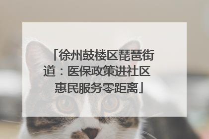 徐州鼓楼区琵琶街道：医保政策进社区 惠民服务零距离