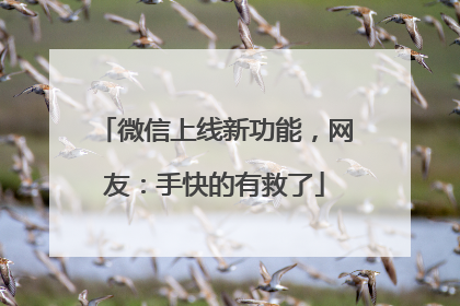 微信上线新功能，网友：手快的有救了