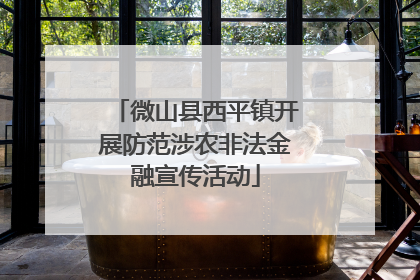 微山县西平镇开展防范涉农非法金融宣传活动