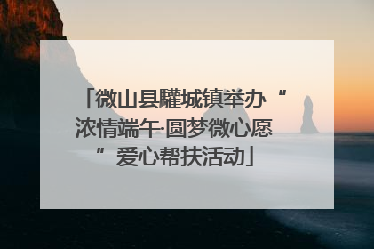 微山县驩城镇举办“浓情端午·圆梦微心愿”爱心帮扶活动