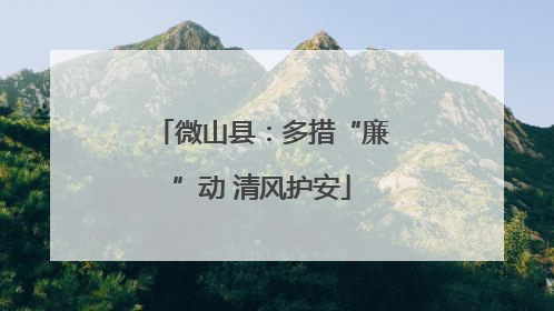 微山县：多措“廉”动 清风护安