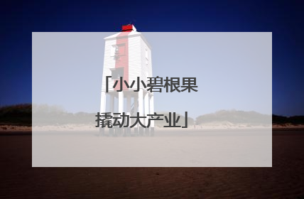 小小碧根果撬动大产业