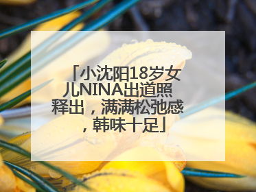 小沈阳18岁女儿NINA出道照释出，满满松弛感，韩味十足