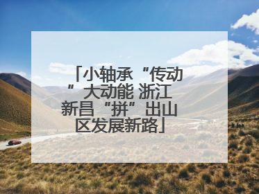 小轴承“传动”大动能 浙江新昌“拼”出山区发展新路