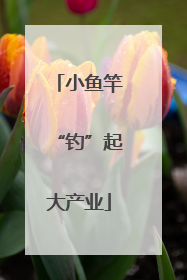小鱼竿“钓”起大产业