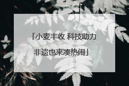 小麦丰收 科技助力 非遗也来凑热闹