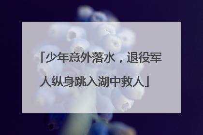 少年意外落水，退役军人纵身跳入湖中救人