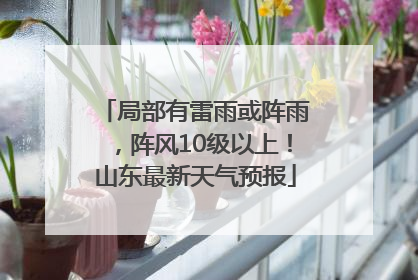 局部有雷雨或阵雨，阵风10级以上！山东最新天气预报