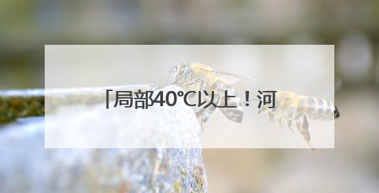 局部40℃以上！河南发布高温橙色预警