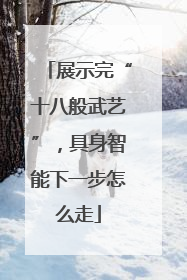 展示完“十八般武艺”，具身智能下一步怎么走