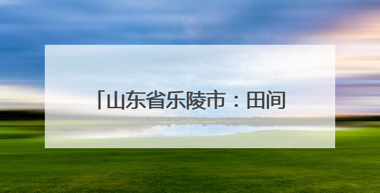 山东省乐陵市：田间地头 全市植保无人机劳动竞赛精彩纷呈