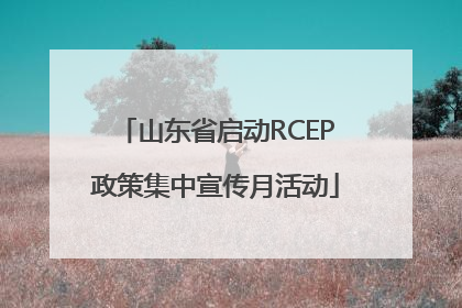 山东省启动RCEP政策集中宣传月活动